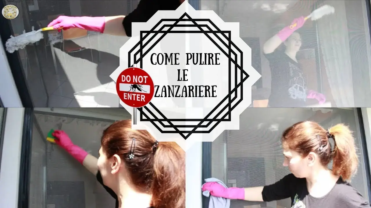 Pulire le zanzariere senza smontarle: il metodo rapido ed efficace Pulire le zanzariere senza smontarle: il metodo rapido ed efficace