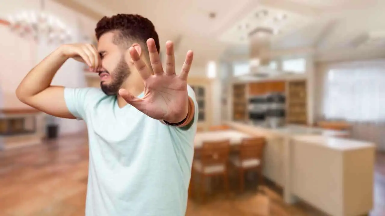 Come eliminare l’odore di frittura in casa in pochi minuti: il trucco che usano nei ristoranti Come eliminare l’odore di frittura in casa in pochi minuti: il trucco che usano nei ristoranti