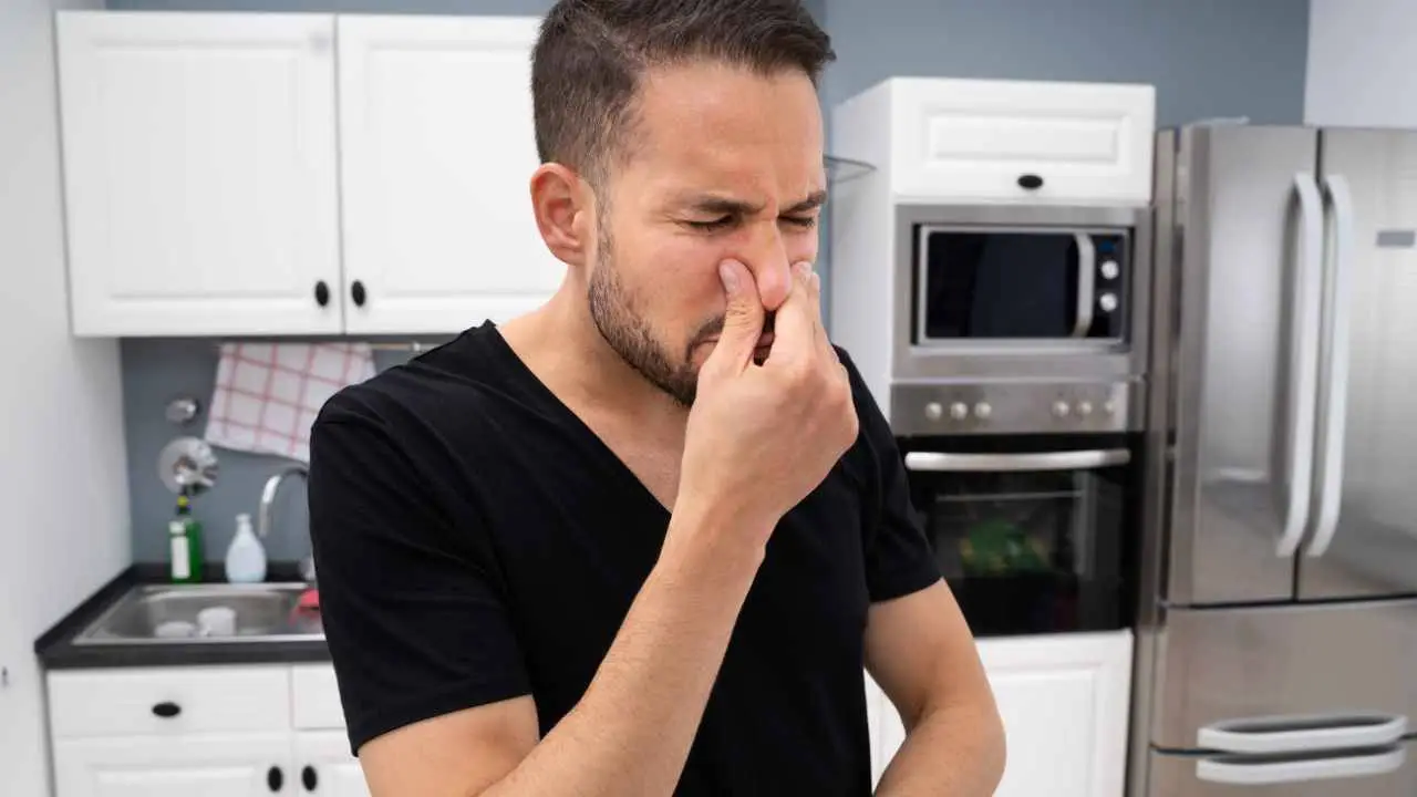 Come eliminare l’odore di frittura in casa in pochi minuti: il trucco che usano nei ristoranti Come eliminare l’odore di frittura in casa in pochi minuti: il trucco che usano nei ristoranti
