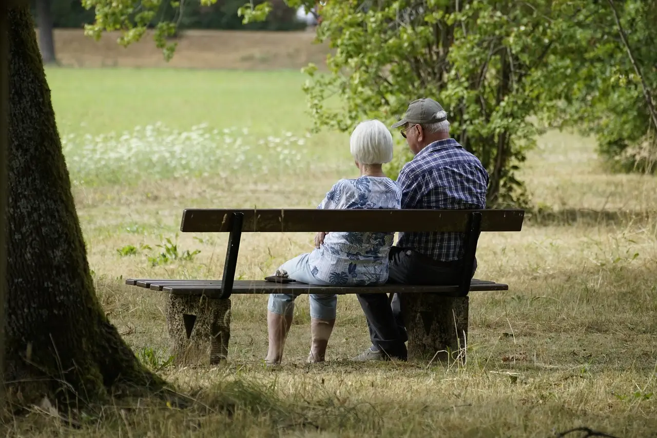 Patente over 65, le nuove regole in arrivo: tutto quello che devi sapere subito Patente over 65, le nuove regole in arrivo: tutto quello che devi sapere subito